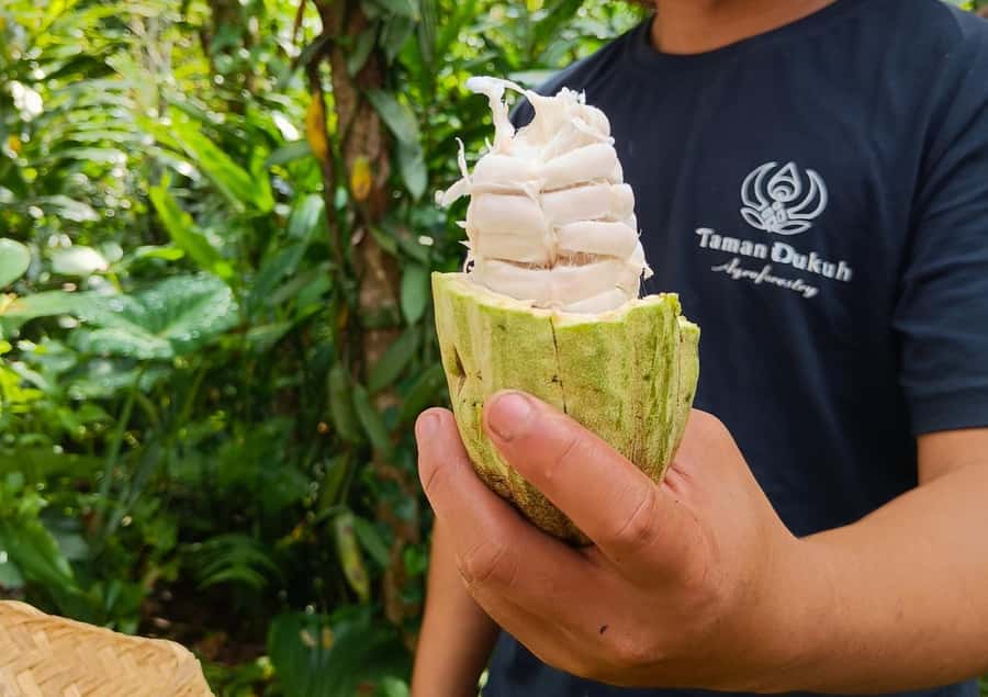 Ubud: Balinese Cooking Class at an Organic Farm - Key points at a glance
