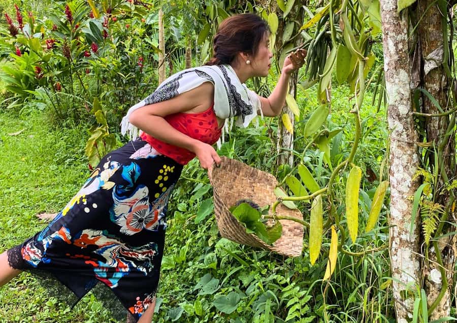Ubud: Balinese Cooking Class at an Organic Farm - A farm kitchen instead of a city classroom