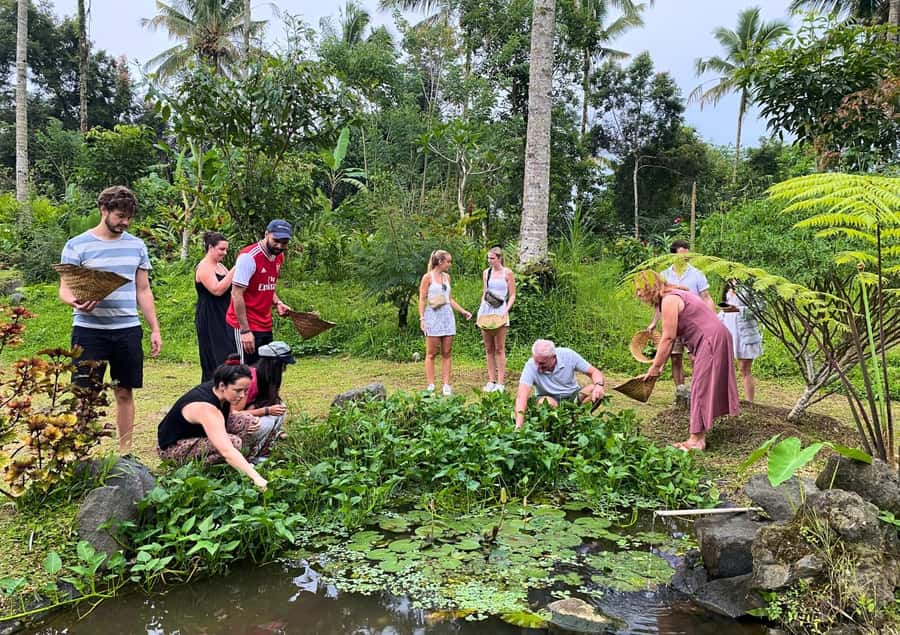 Ubud: Balinese Cooking Class at an Organic Farm - Six dishes and the logic behind Balinese flavor