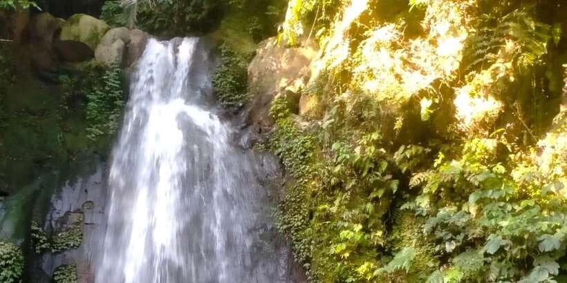 Ubud Eco-Adventure: Farm, Rice Terraces, River & Dance Show! - What the $51 price covers
