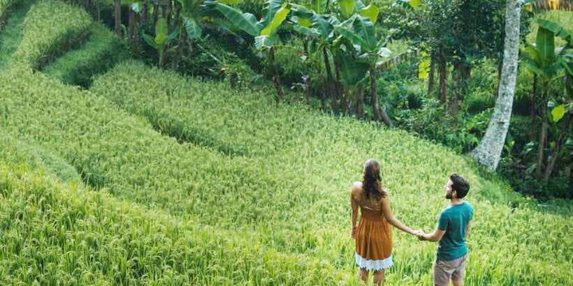Ubud Eco-Adventure: Farm, Rice Terraces, River & Dance Show! - Coffee, herbal tea, and the Luwak story