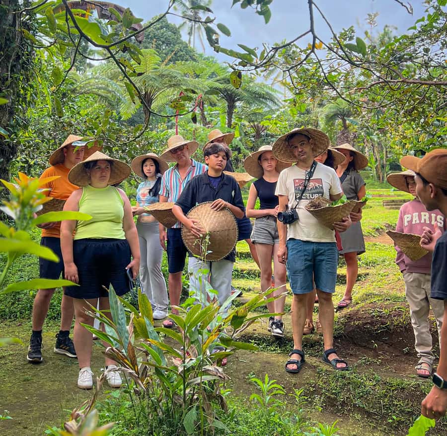 Ubud: Organic Farm Harvest, Bali Cooking Class by Pemulan - Picking vegetables at Pemulan’s organic farm