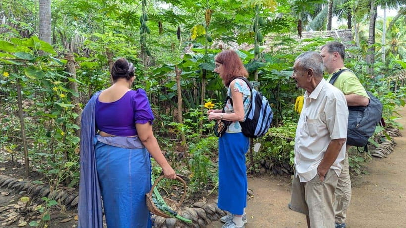 Udawalawe: Farm to Table Cooking & Authe: Village Experience - Cinnamon tea, king coconut, and the first taste of the day
