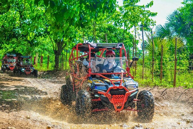 Ultimate Dune Buggy and ATV Adventure with Cenote, Beach & Ranch - Key points before you book