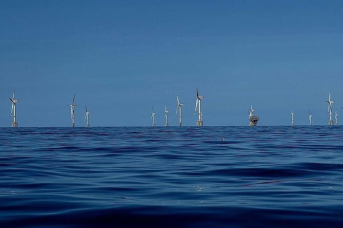 Unforgettable sea trip to the wind farms in the North Sea - Why the offshore wind farm is worth the boat ride