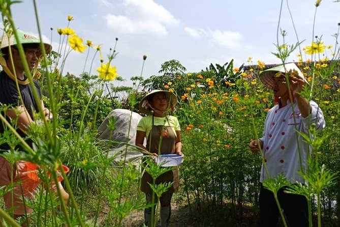 Unique farm to Table cooking class in Saigon - Why the food lesson is useful beyond lunch
