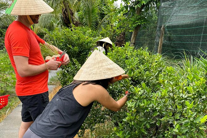 Unique Farm to Table Cooking Class with Top Chef in Vietnam - Who will get the most from this day