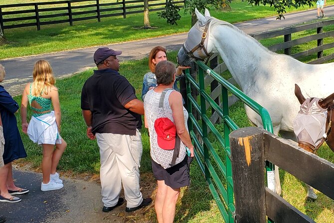 Unique Horse Farm Tours with Insider Access to Private Farms - Starting at Manchester Street