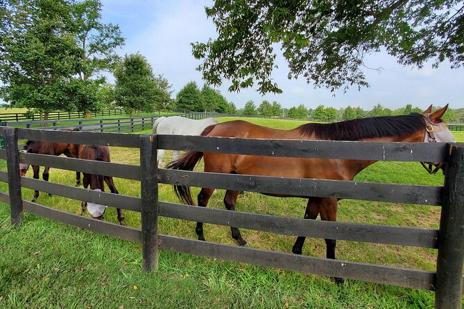 Unique Horse Farm Tours with Insider Access to Private Farms - Cost, group size, and overall value