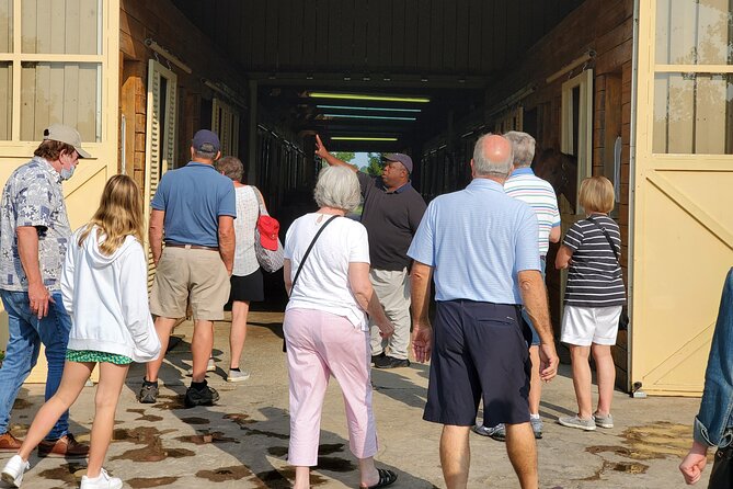 Unique Horse Farm Tours with Insider Access to Private Farms - Who will enjoy this most