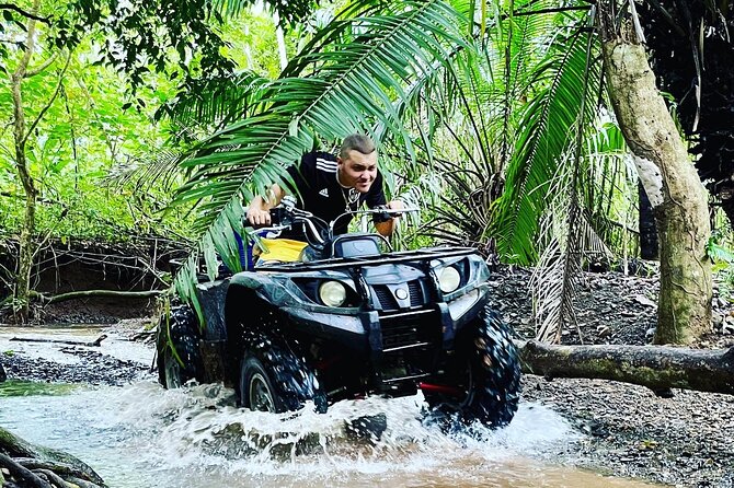 Unique Pineapple Farm Tour on 4 wheels - Key things to know before you go