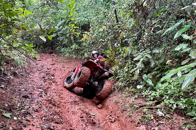 Unique Pineapple Farm Tour on 4 wheels - Why the private format changes the day