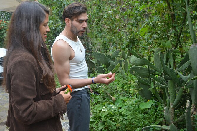 Urban Orchard in Desierto de los Leones in Mexico City - Why this orchard feels different from a standard garden tour