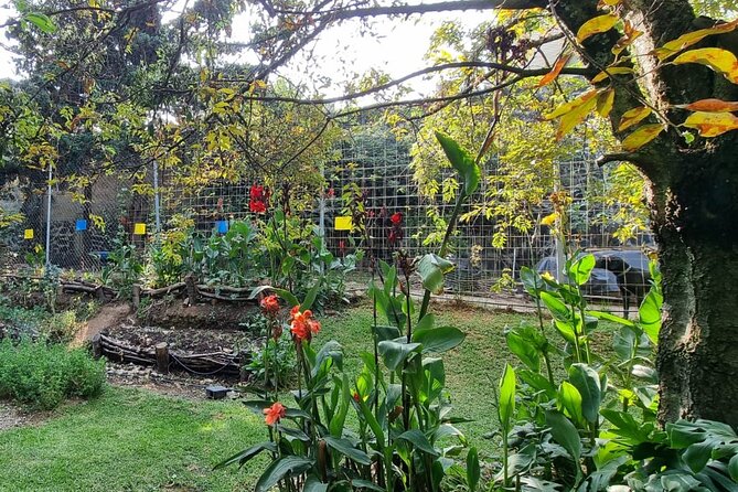Urban Orchard in Desierto de los Leones in Mexico City - What the $75 price covers