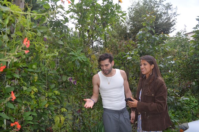 Urban Orchard in Desierto de los Leones in Mexico City - Who should book this experience