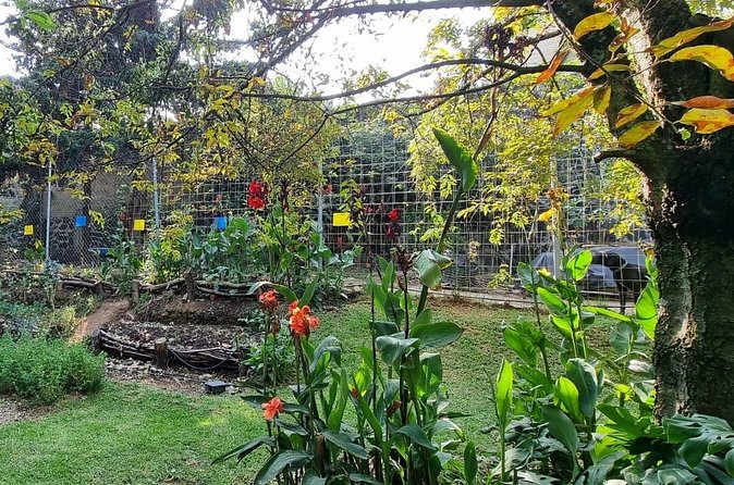 Urban Orchard in Desierto de los Leones in Mexico City - Practical details that affect your day