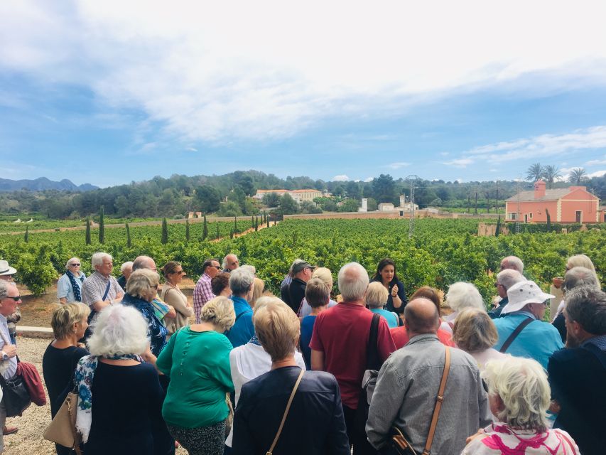 Valencia: Orange Farm and Orchard Trip with Tastings - Who will enjoy this farm visit most?