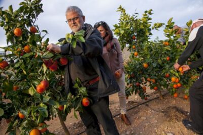 Golden Circle Tales, Tomato Farm & Kerid – Small Group from RVK