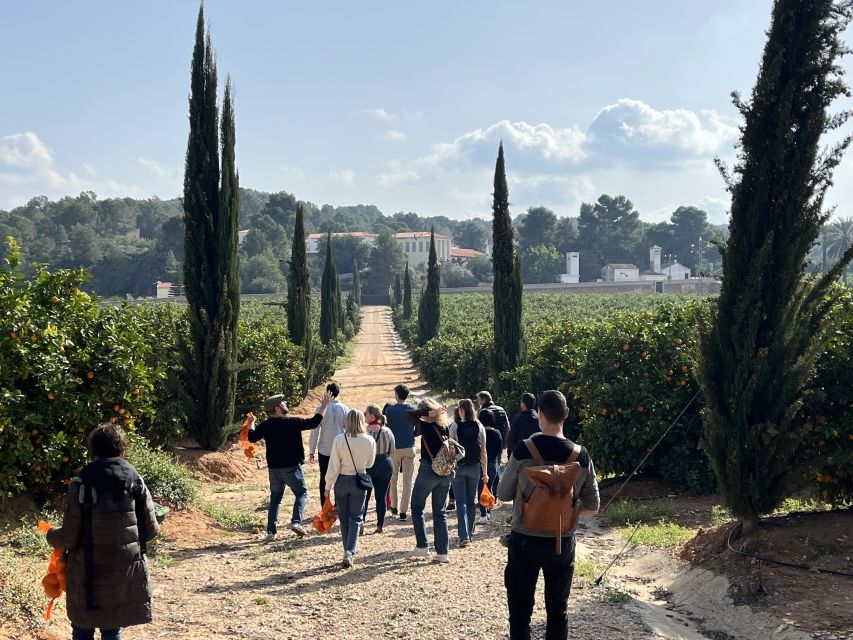Valencia: Orange Farm and Orchard Trip with Tastings - Getting there from Valencia without a car