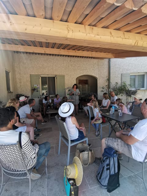 Valensole : Visit of a winery and lavender farm - A working farm, not just a lavender photo stop