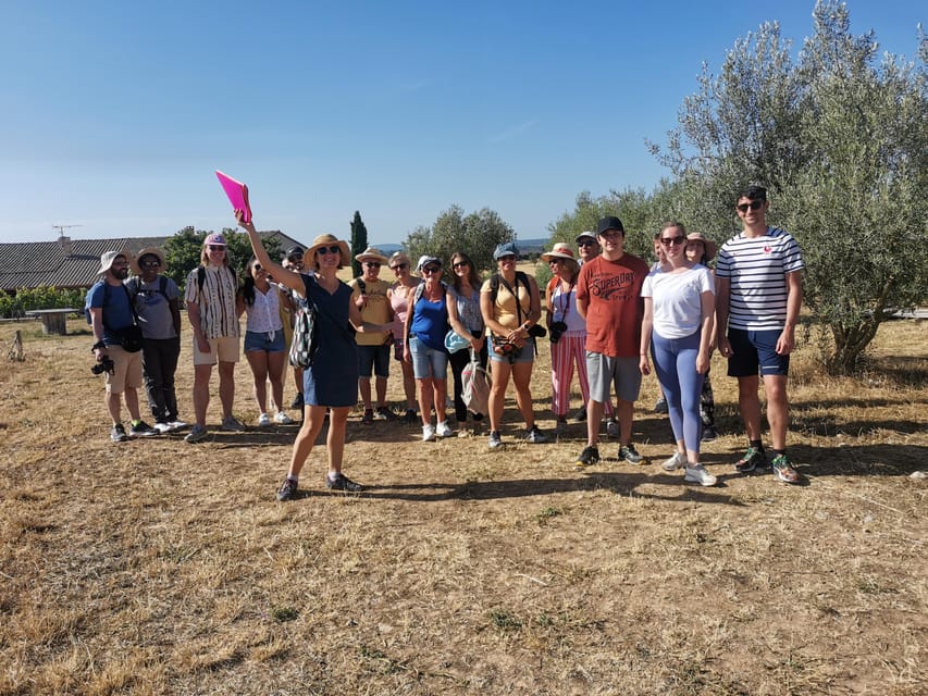 Valensole : Visit of a winery and lavender farm - The story behind organic and sustainable farming