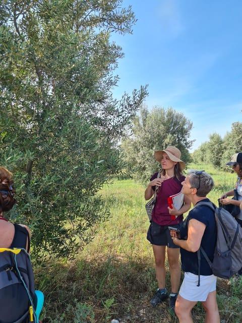 Valensole : Visit of a winery and lavender farm - How lavender becomes essential oil