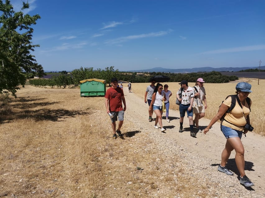 Valensole : Visit of a winery and lavender farm - Who will enjoy this Valensole experience most?