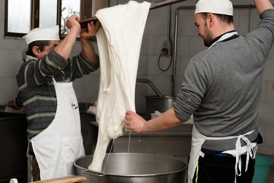 Vico Equense: Tour in the dairy "Mozzarella Experience" - A working dairy above Vico Equense