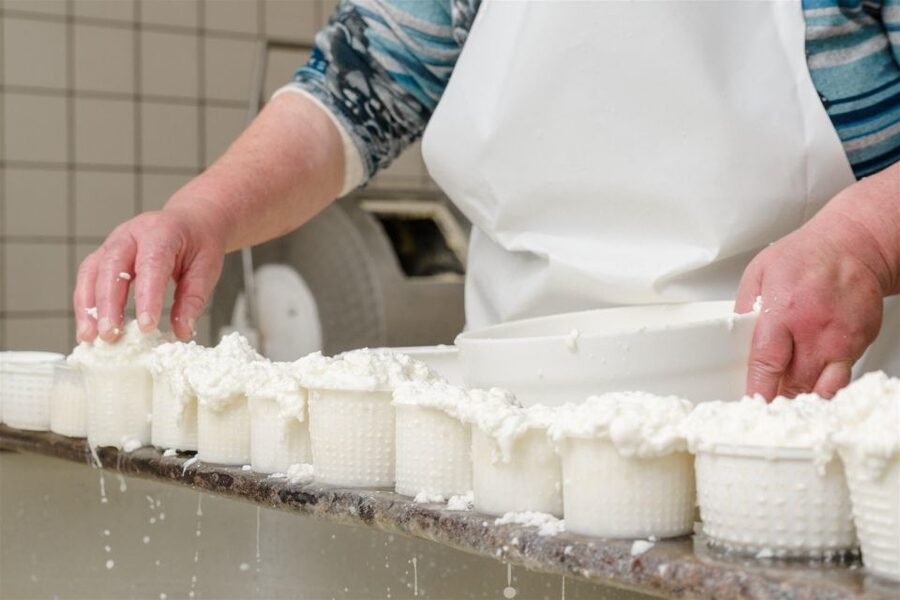 Vico Equense: Tour in the dairy "Mozzarella Experience" - Getting there from Vico Equense