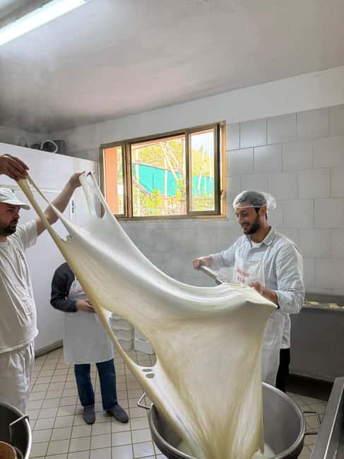 Vico Equense: Tour in the dairy "Mozzarella Experience" - The tasting beneath the Sorrento lemons