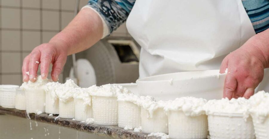 Vico Equense: Tour in the dairy "Mozzarella Experience" - How much value do you get for $80?
