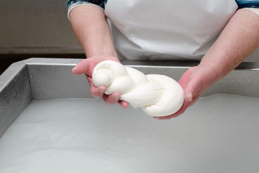 Vico Equense: Tour in the dairy "Mozzarella Experience" - Weather, timing, and practical planning