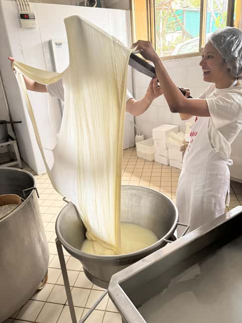Vico Equense: Tour in the dairy "Mozzarella Experience" - Should you book Caseificio Starace?