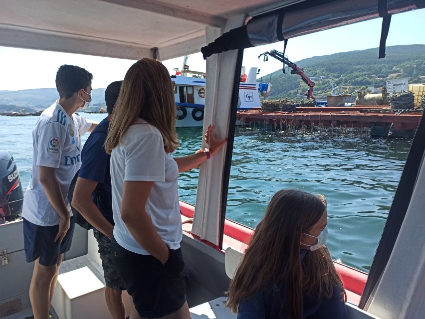 Vigo: Bay of San Simón Mussel Farming Tour - Is the Bay of San Simón tour worth booking?