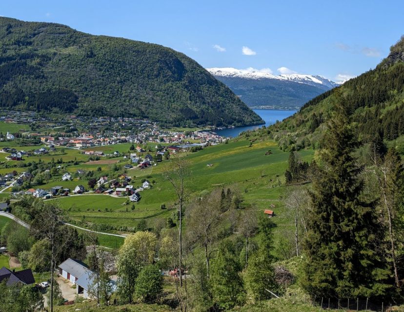 Vik i Sogn: Authentic Farm Visit - A farm visit with real animals, not a staged show