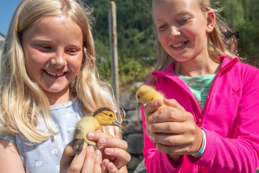 Vik i Sogn: Authentic Farm Visit - A short walk through the wider farm area