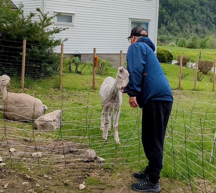 Vik i Sogn: Authentic Farm Visit - What to wear and bring