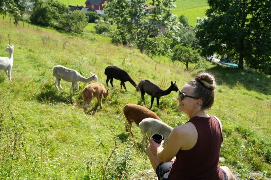 Vik i Sogn: Authentic Farm Visit - Meeting the alpacas and Muscovy ducks