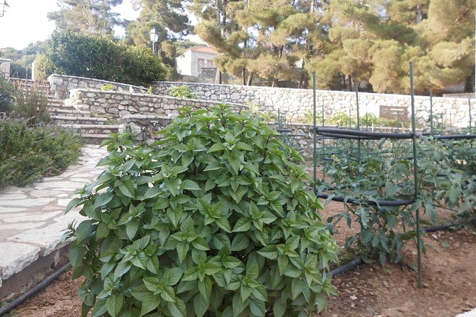 Village cooking class in an Agritourism Unit in Arcadia, Greece! - Booking details that can affect your plans