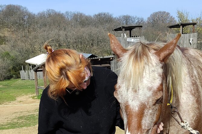 Visit a Farm and Horseback Riding in Nature - Leaving Thessaloniki for a peaceful horse farm