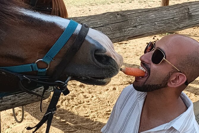 Visit a Farm and Horseback Riding in Nature - What to bring and how to prepare