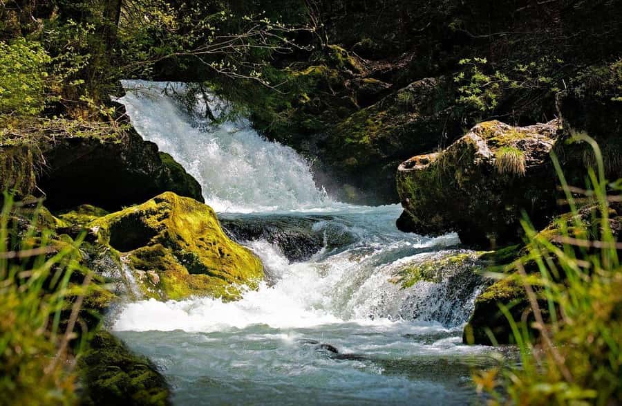 Visit Aburi Garden, Tetteh Quarshie Cocoa Farm & Waterfall - From Accra traffic to the Aburi Hills