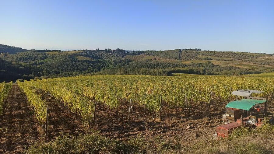 Visit Siena and San Gimignano with lunch at a family farm - What the guide adds to a short day