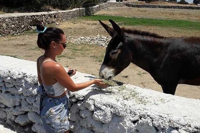 Visit the Mykonian Farm in Mykonos - Who will enjoy this farm visit?