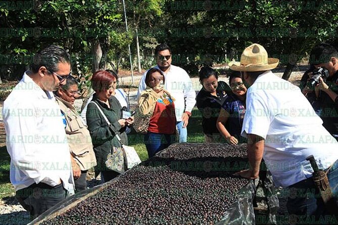 Visit to Coffee Farm with Tasting in Coatepec - What the tour includes, and what it does not