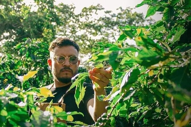 Visit to Coffee Farm with Tasting in Coatepec - Walking the farm trails
