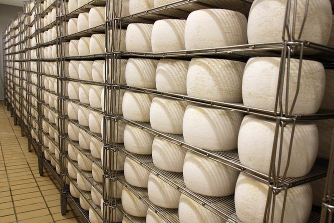 Visit to the dairy - The tasting room is the reward at the end