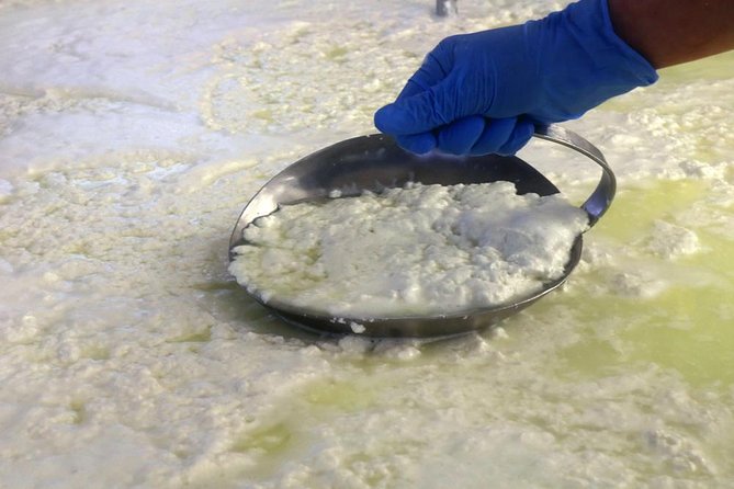 Visit to the dairy - From milk testing to Sardinian pecorino