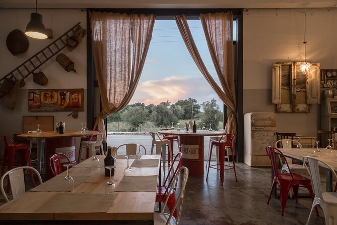 Visit to the olive grove, oil tasting and lunch at the farm - Seeing how Terra Surti puts olive oil on the table