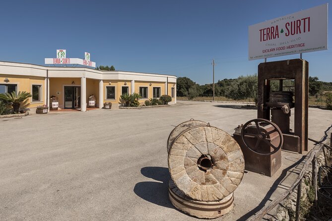 Visit to the olive grove, oil tasting and lunch at the farm - Who may want to choose something else